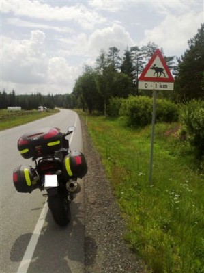 uwaga
łoś